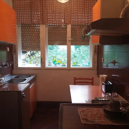 Anna Vendeghaz Svetozar Miletic